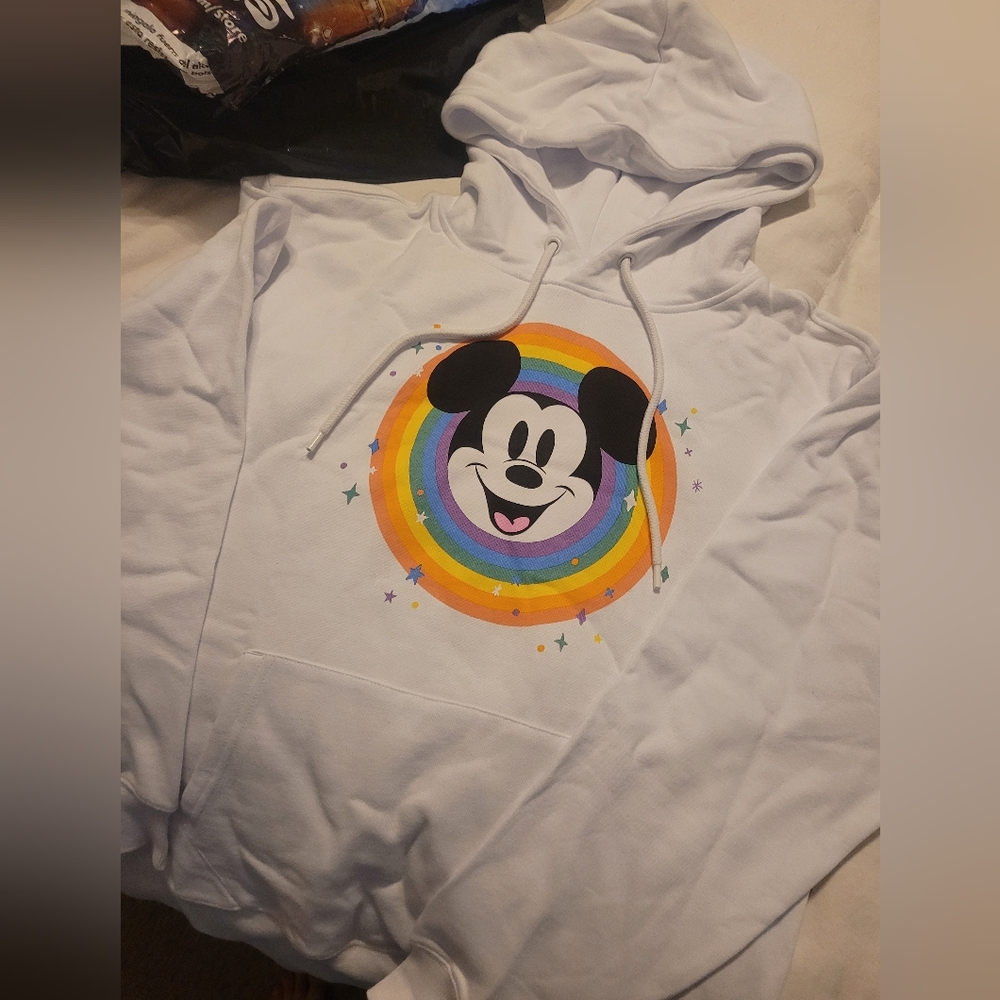 Disneyland Parks Pride Sweatshirt Hoodie XS Adult NWT - Picture 6 of 6